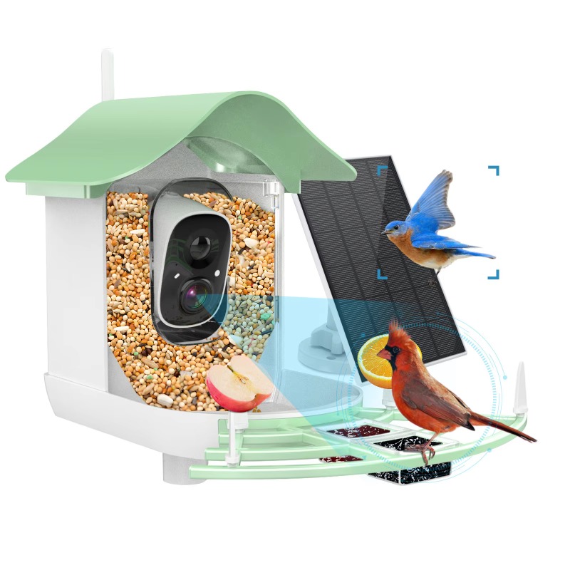 Smart Bird Feeder Camera - 2026 App كاميرا التقاط تلقائي للفيديو،