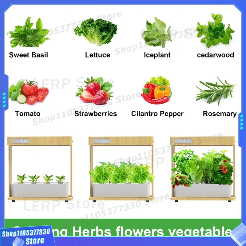 مجموعة حديقة هيدروبونيك ذكية I - مراجعة Indoor Herb Garden Kit وسعره