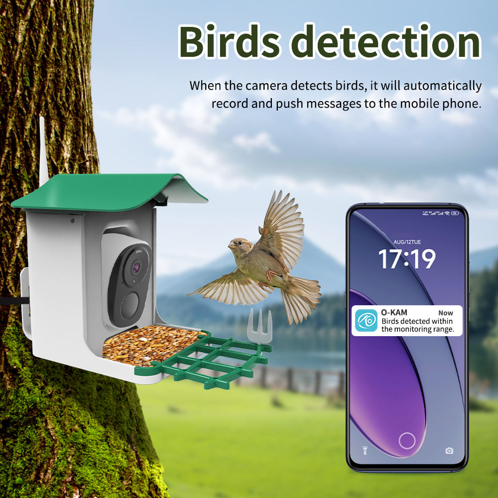 كاميرا ذكية لتغذية الطيور تعمل - مراجعة Smart Bird Feeder Camera وسعره