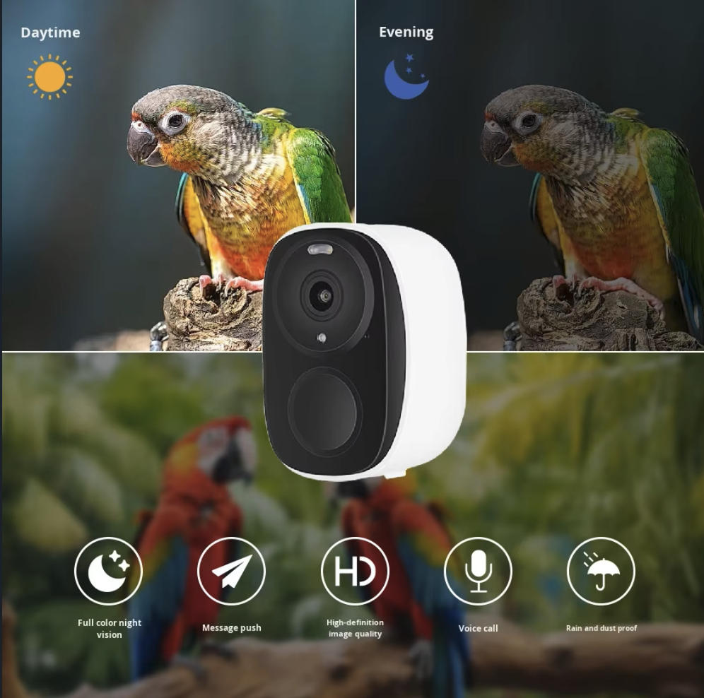 كاميرا ذكية لتغذية الطيور تعمل - مراجعة Smart Bird Feeder Camera وسعره