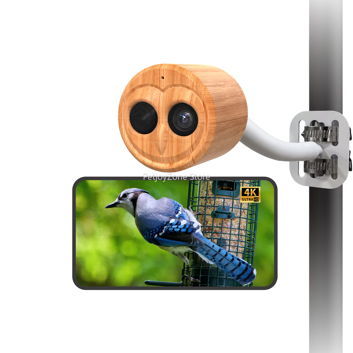 جهاز تغذية الطيور الآلي الذكي  - مراجعة Smart Bird Feeder Camera وسعره