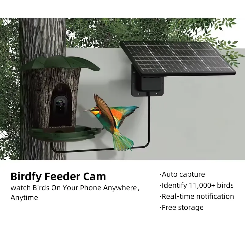 كاميرا ذكية لتغذية الطيور من E - مراجعة Smart Bird Feeder Camera وسعره