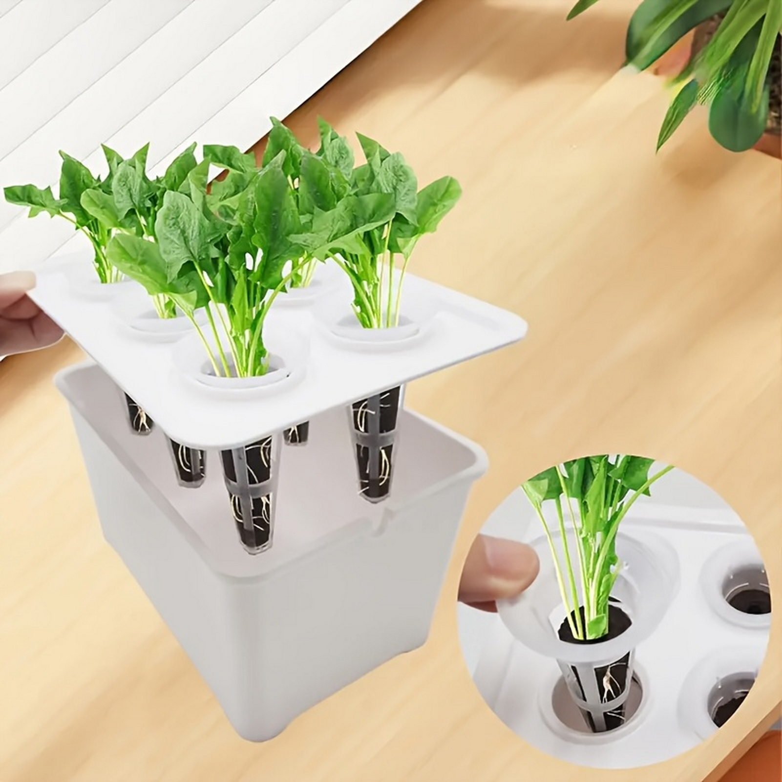 أواني زراعة مائية 6 في 1، أوان - مراجعة Indoor Herb Garden Kit وسعره