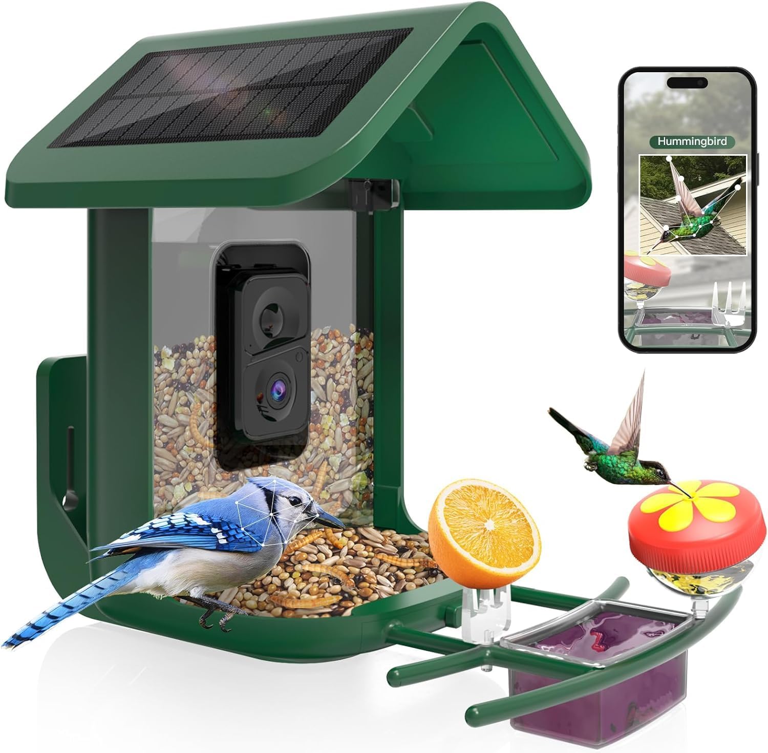 وحدة تغذية الطيور الذكية مع كا - مراجعة Smart Bird Feeder Camera وسعره