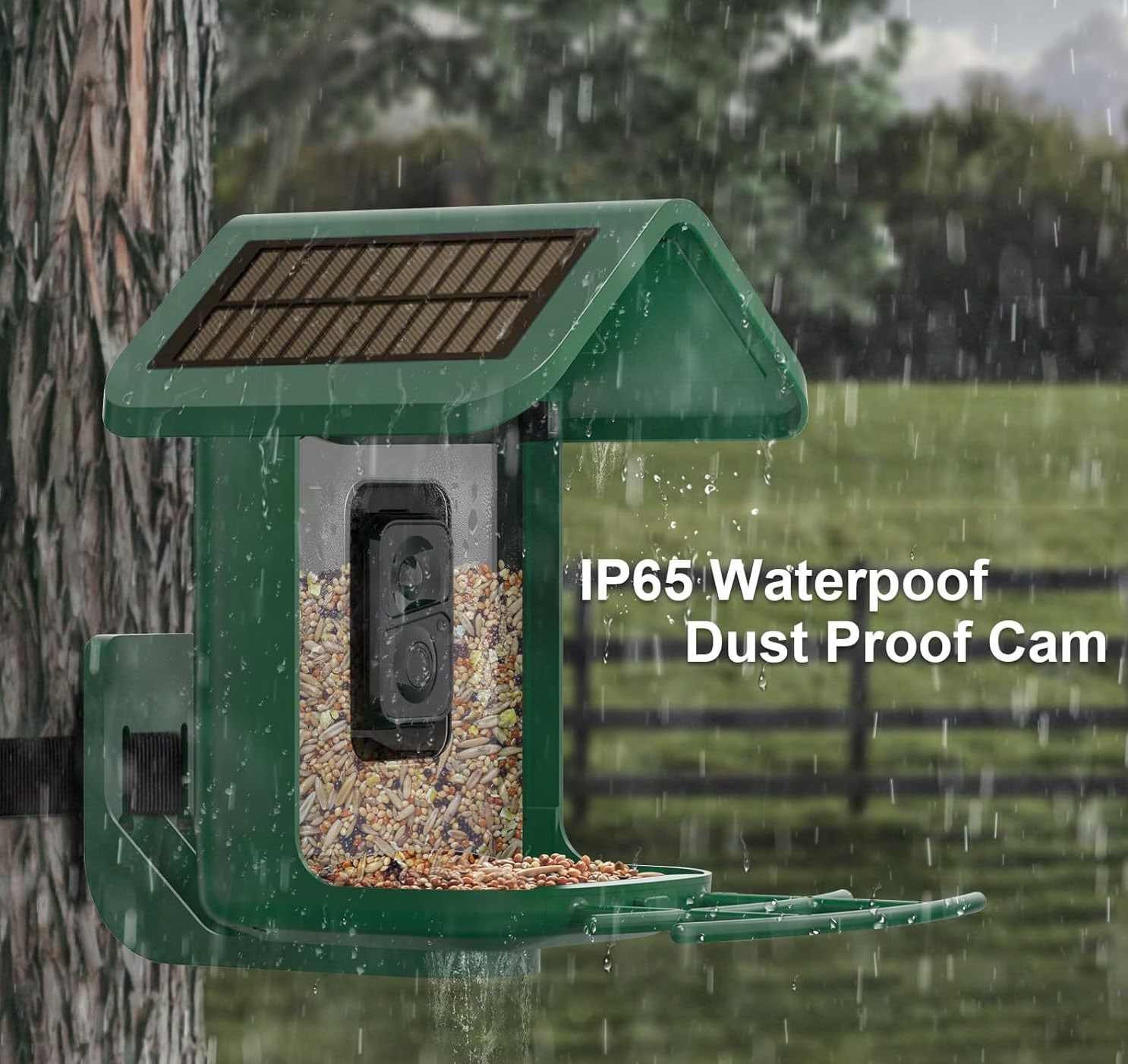 وحدة تغذية الطيور الذكية مع كا - مراجعة Smart Bird Feeder Camera وسعره