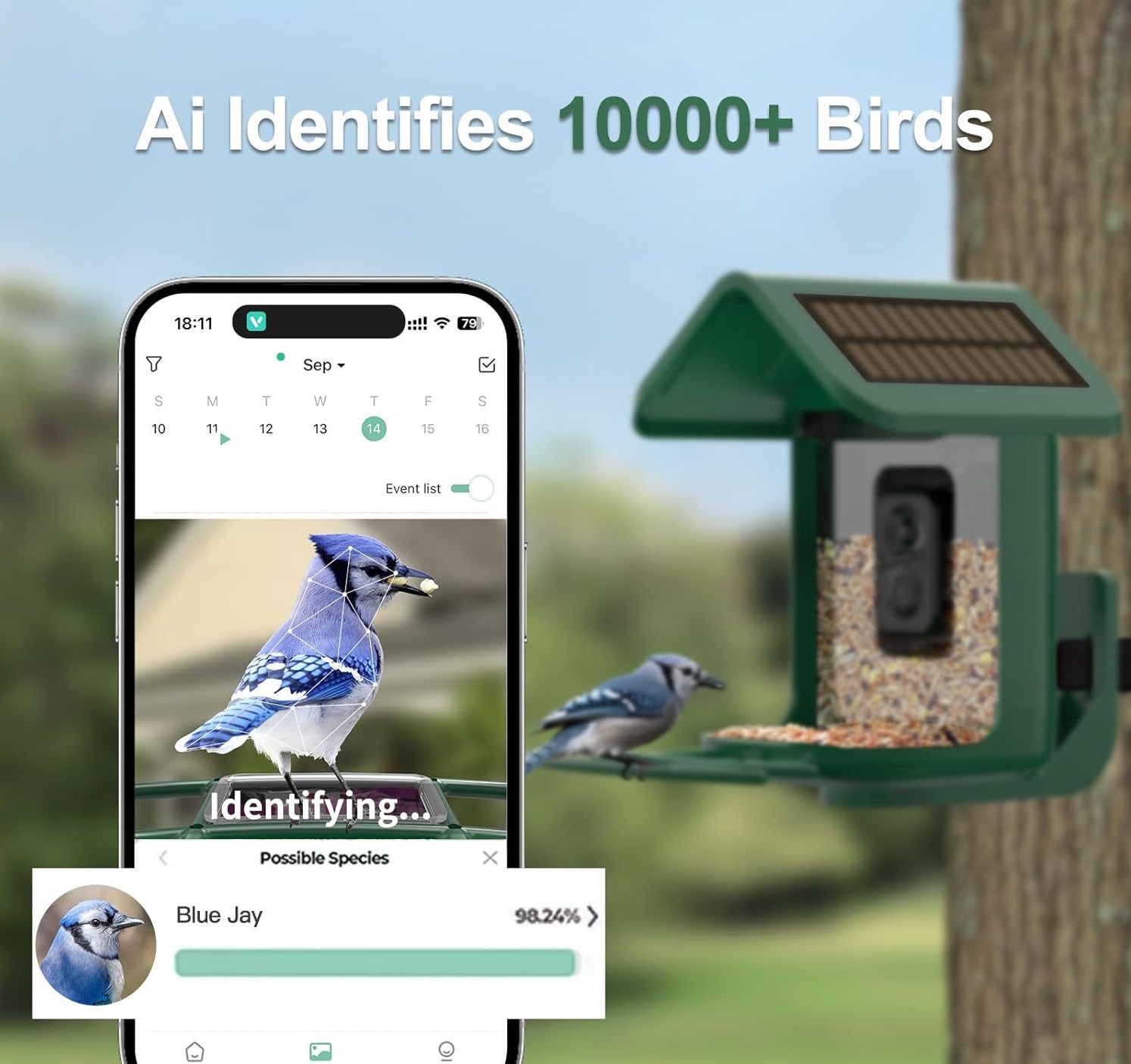 وحدة تغذية الطيور الذكية مع كا - مراجعة Smart Bird Feeder Camera وسعره