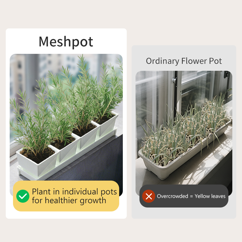 وعاء شبكي لزراعة الأعشاب ذات ع - مراجعة Indoor Herb Garden Kit وسعره