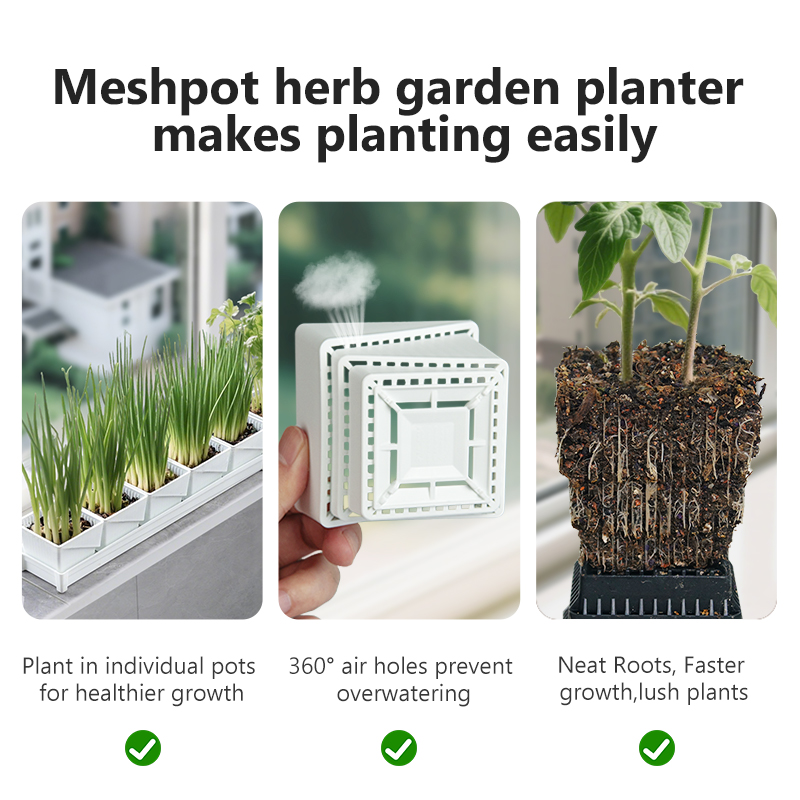 وعاء شبكي لزراعة الأعشاب ذات ع - مراجعة Indoor Herb Garden Kit وسعره