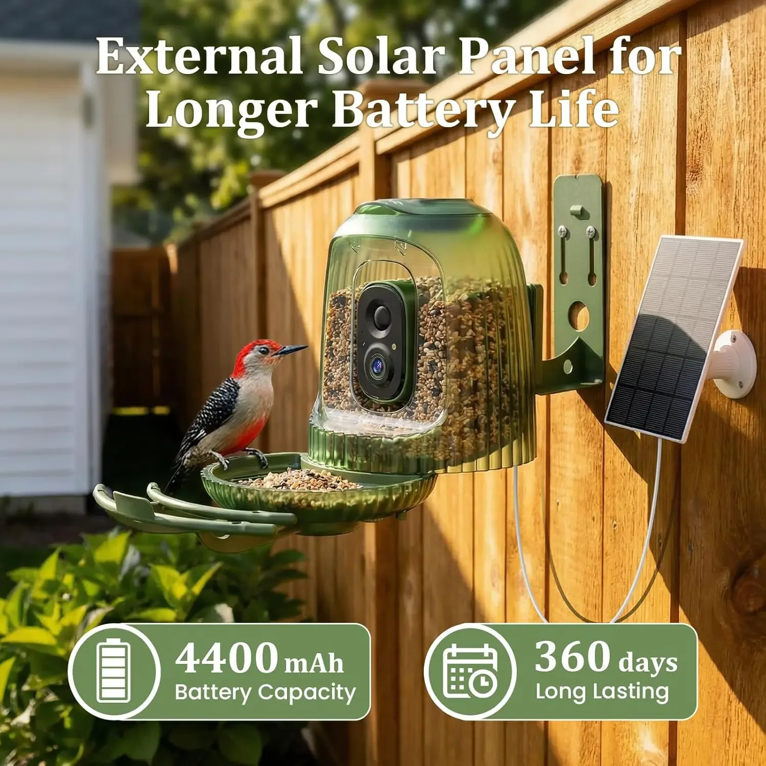 مغذي طيور ذكي مع كاميرا 4 ميجا - مراجعة Smart Bird Feeder Camera وسعره