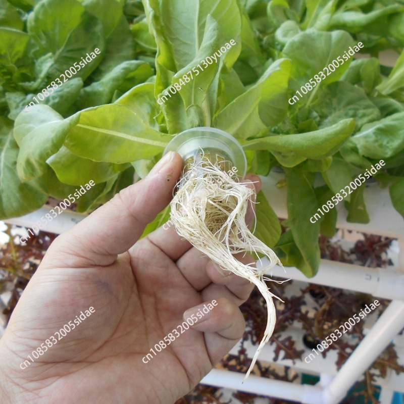 نظام زراعة مائي ثلاثي الطبقات  - مراجعة Indoor Herb Garden Kit وسعره
