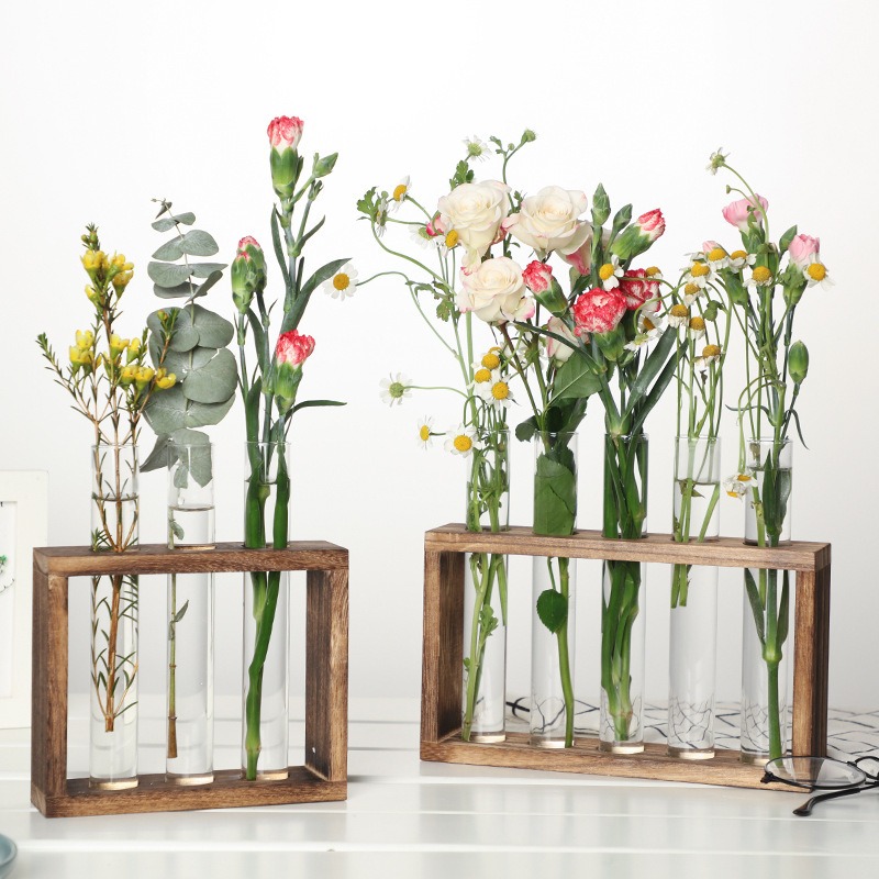 زارع مائي زجاجي 5 أنابيب مع حا - مراجعة Indoor Herb Garden Kit وسعره
