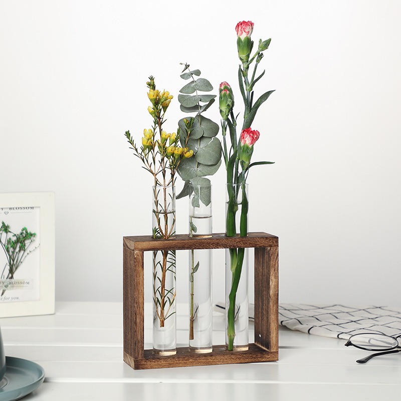 زارع مائي زجاجي 5 أنابيب مع حا - مراجعة Indoor Herb Garden Kit وسعره