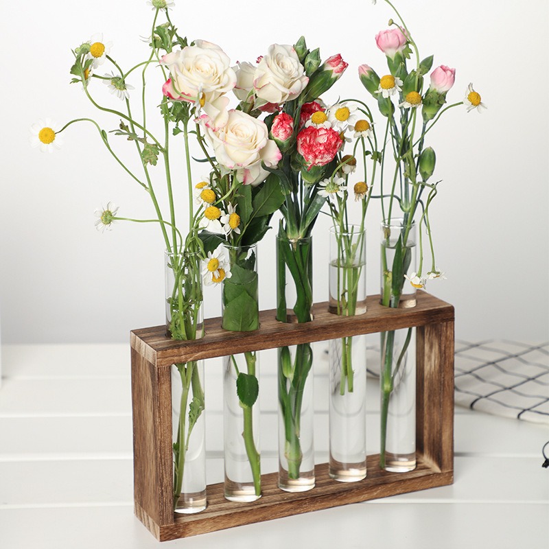زارع مائي زجاجي 5 أنابيب مع حا - مراجعة Indoor Herb Garden Kit وسعره