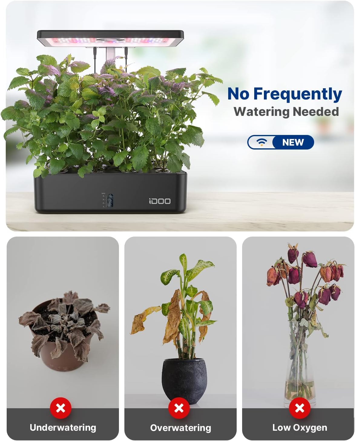 نظام زراعة مائية بـ 12 وحدة مع - مراجعة Indoor Herb Garden Kit وسعره