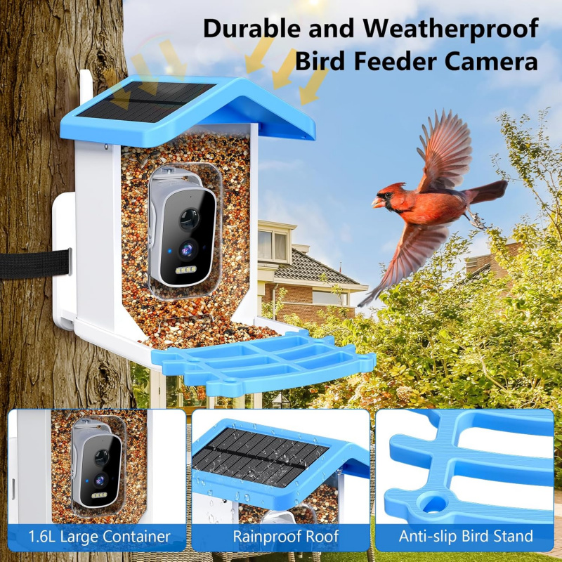 وحدة تغذية الطيور الذكية WiFi  - مراجعة Smart Bird Feeder Camera وسعره
