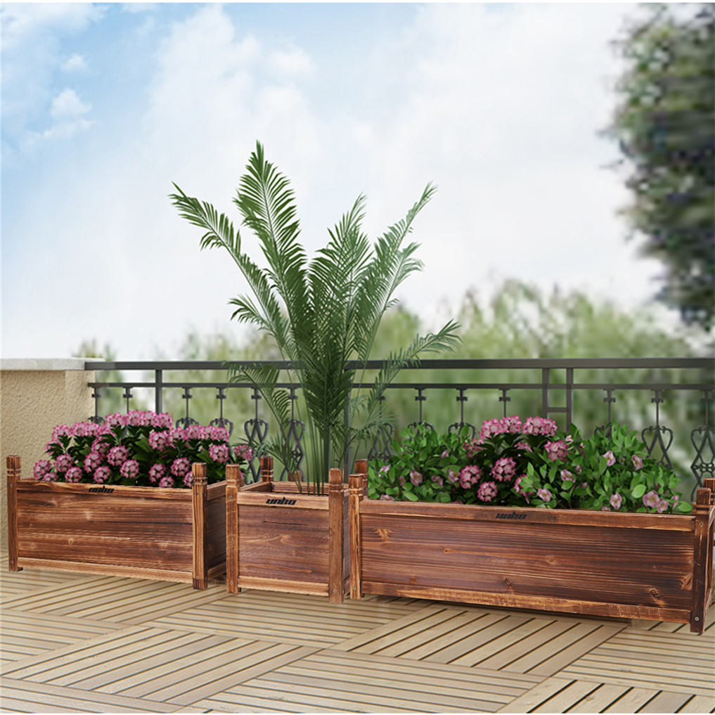 سرير زهور خشبي مرفع للداخل وال - مراجعة Indoor Herb Garden Kit وسعره