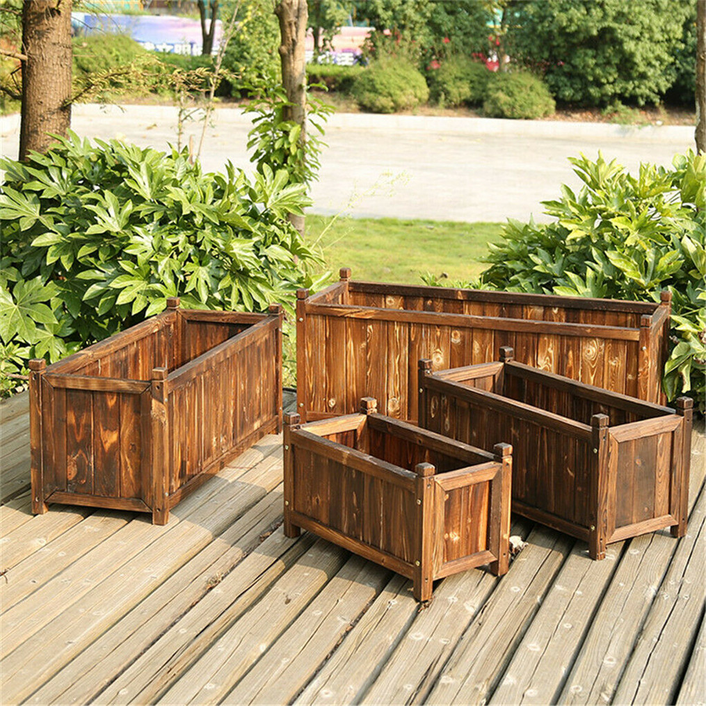 سرير زهور خشبي مرفع للداخل وال - مراجعة Indoor Herb Garden Kit وسعره
