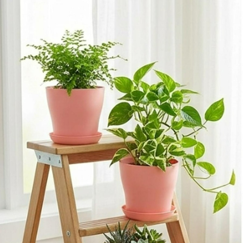 مجموعة أواني نباتات مع فتحات ت - مراجعة Indoor Herb Garden Kit وسعره