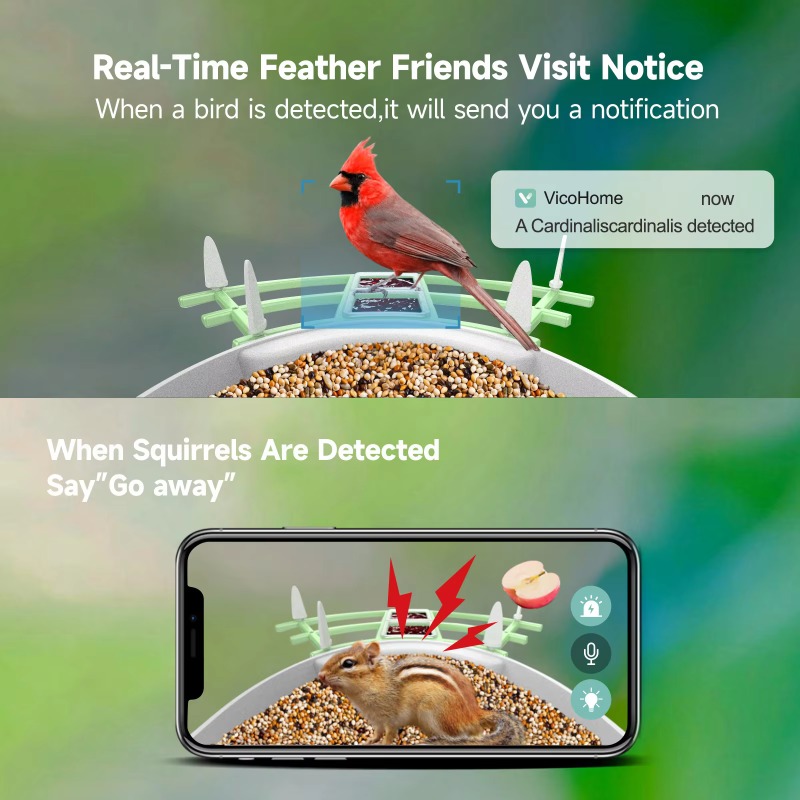 2026 App كاميرا التقاط تلقائي  - مراجعة Smart Bird Feeder Camera وسعره