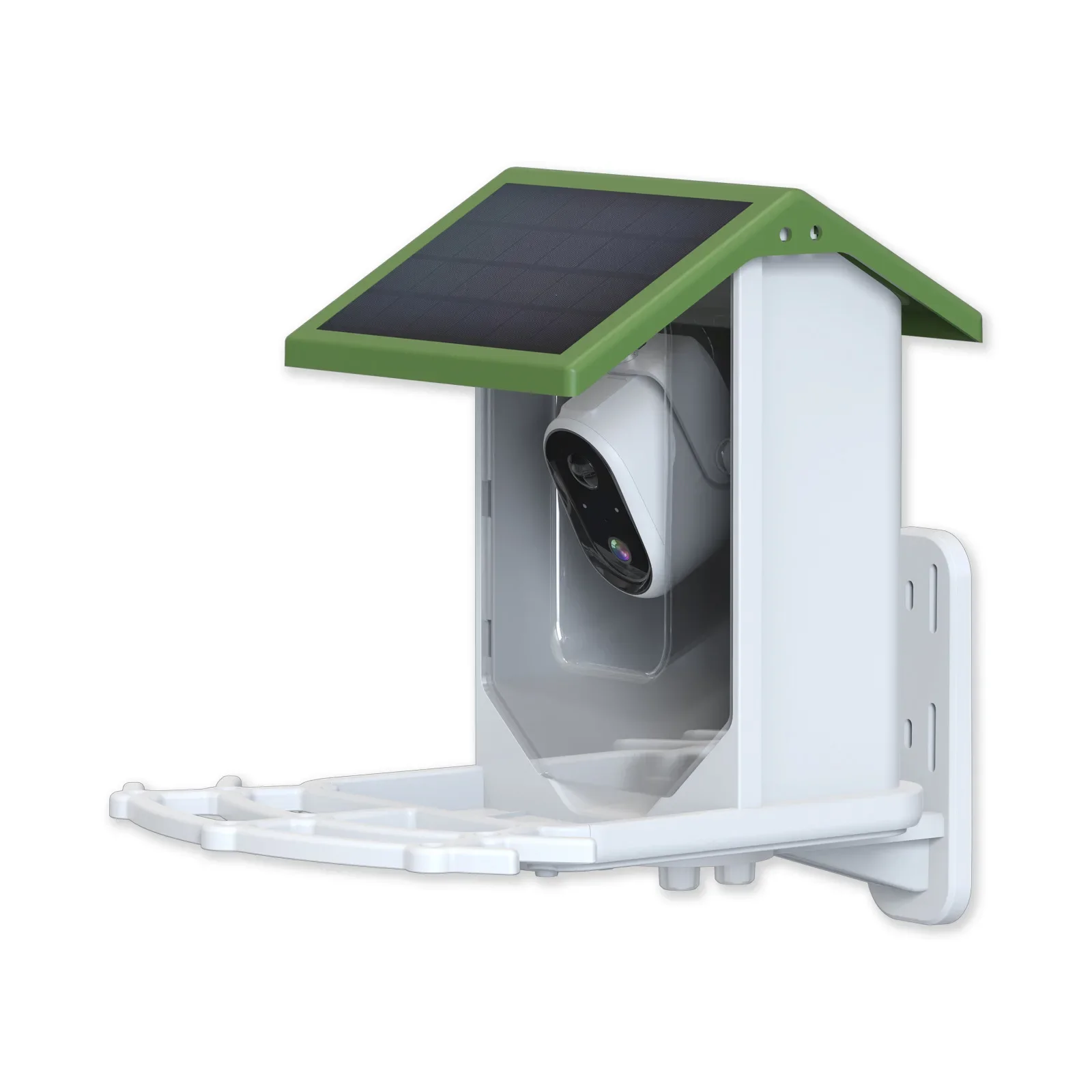 مغذي الطيور البري الأكثر مبيعً - مراجعة Smart Bird Feeder Camera وسعره